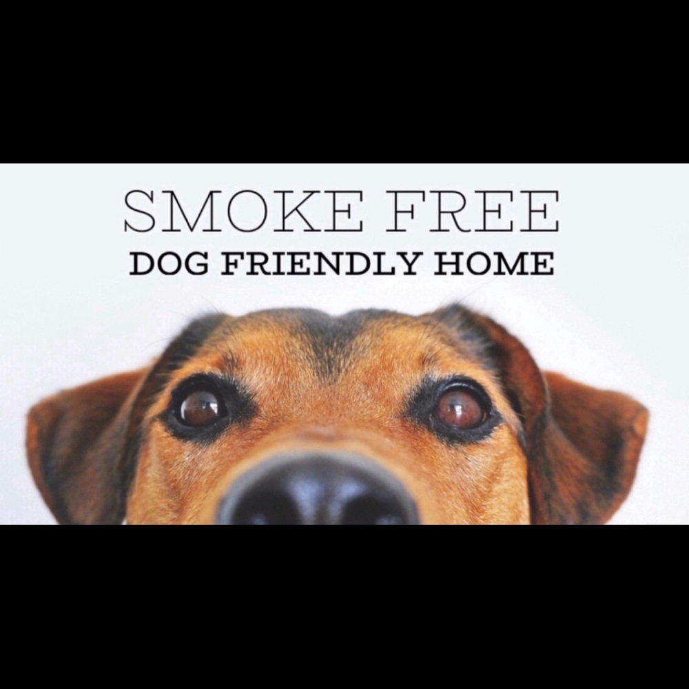 American Eagle Faded Black Superlow Jeggings - Picture 9 of 9